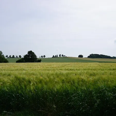 Landhaus Zum Mushof Penzion *