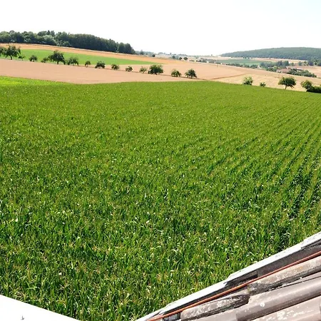 Landhaus Zum Mushof * Wethen