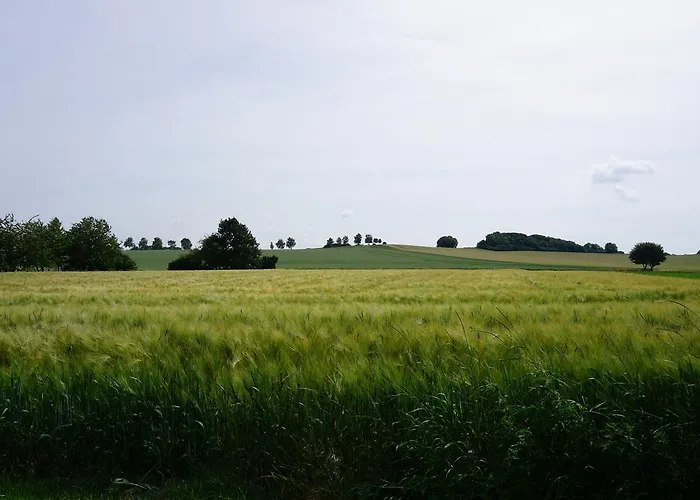 Landhaus Zum Mushof Pensjonat *