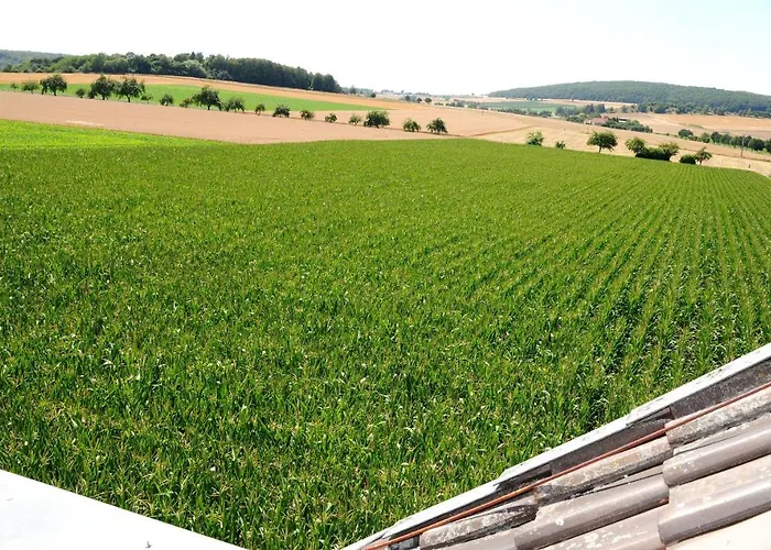 Landhaus Zum Mushof * Wethen